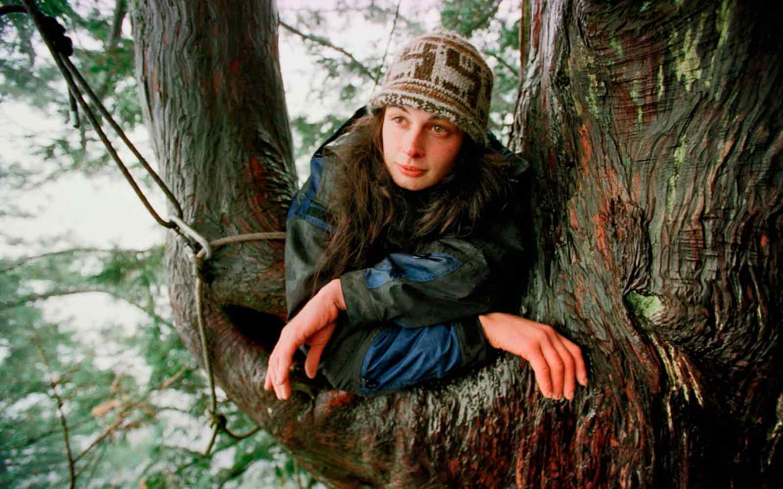 Julia Hill. Julia Hill.