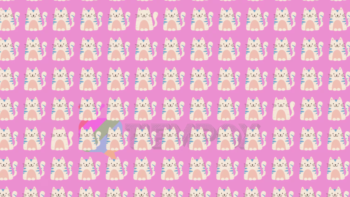 test Test: encuentra los gatos distintos en el menor tiempo posible, ¿podrás? (Foto: TiempoX)