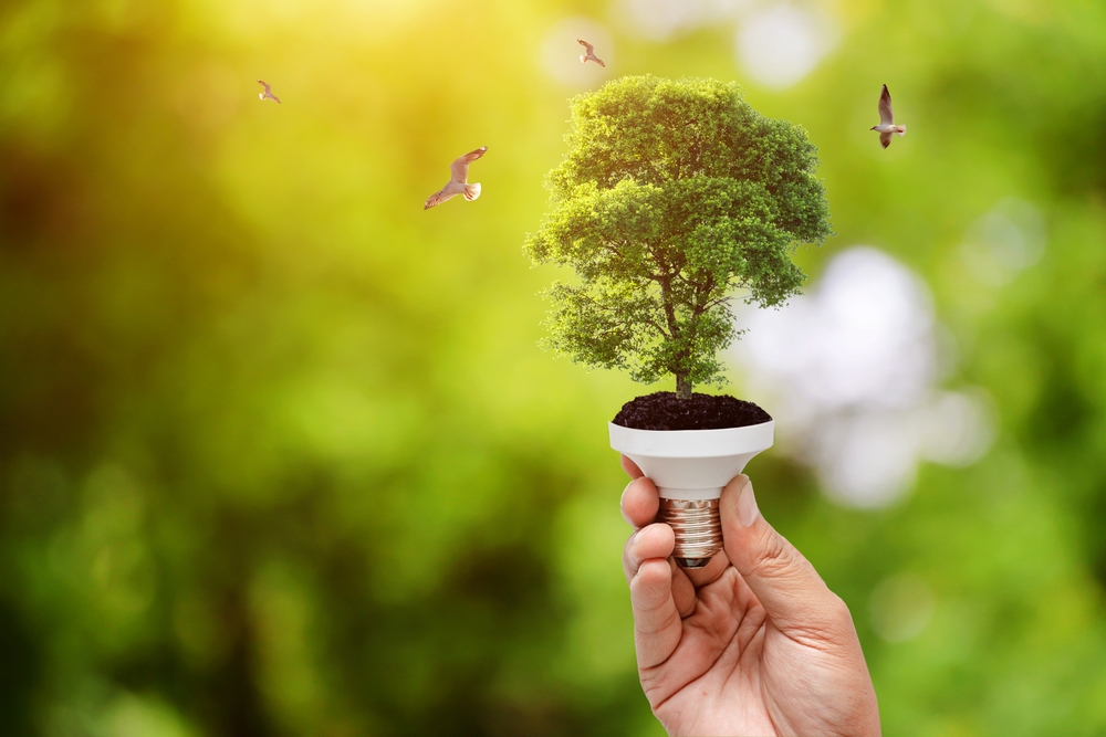 energías renovables energías renovables