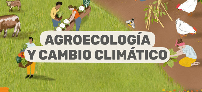 unnamed (1) unnamed (1)