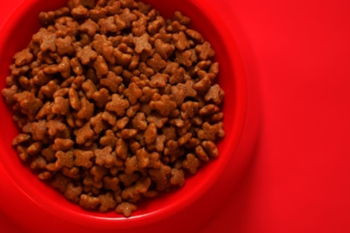 Alimento balanceado para gatos. Una de las tendencias más relevantes es la de los alimentos grain free (sin cereales), diseñados para reducir el riesgo de alergias alimentarias. Un ejemplo disponible en el mercado chileno es el alimento Taste of the Wild gato, que incorpora ingredientes como bisonte, venado o salmón.