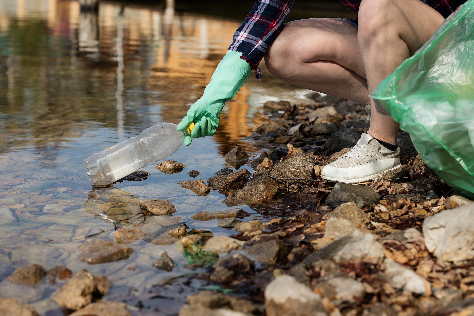 Impacto Ambiental: Definición Y Ejemplos | Bioguia