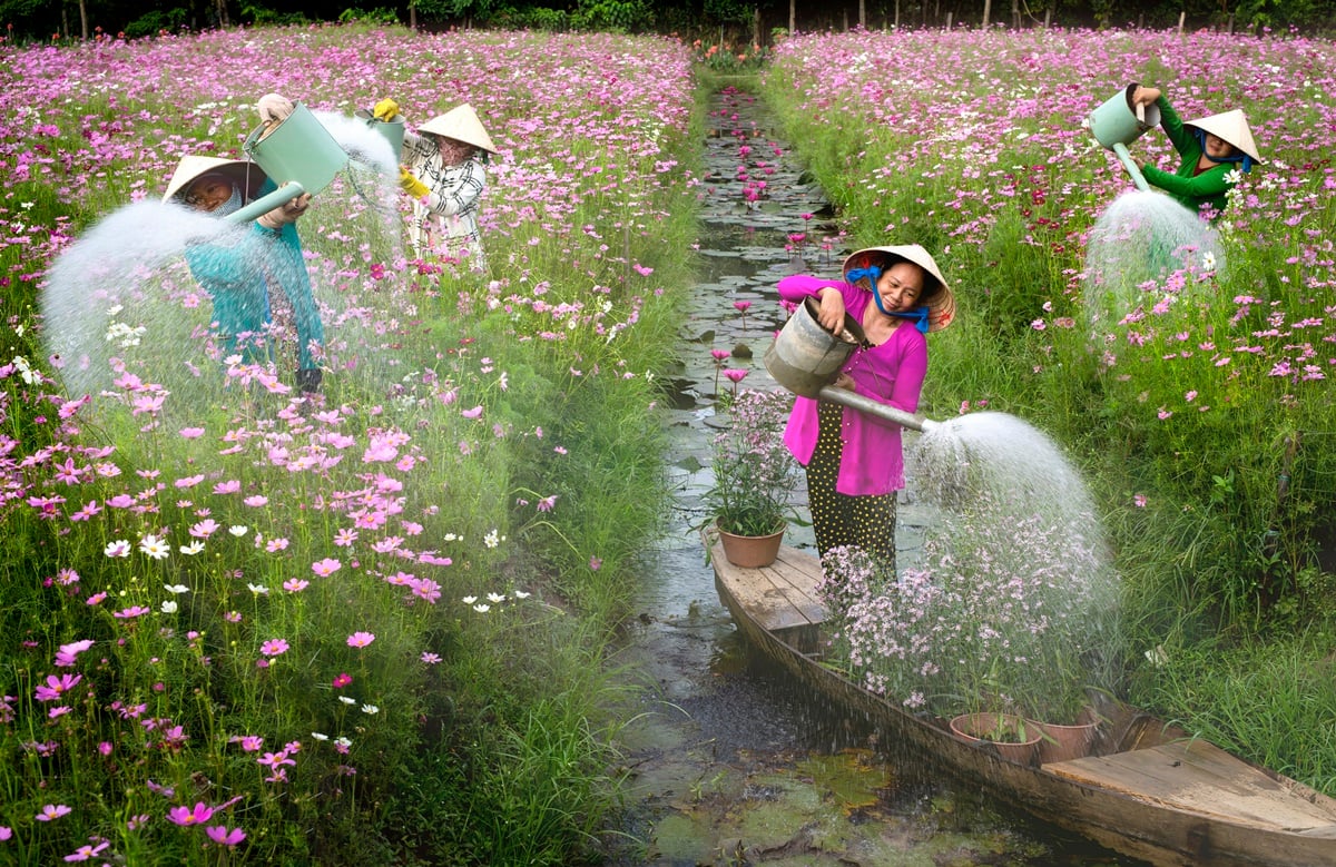 regando flores vietnam