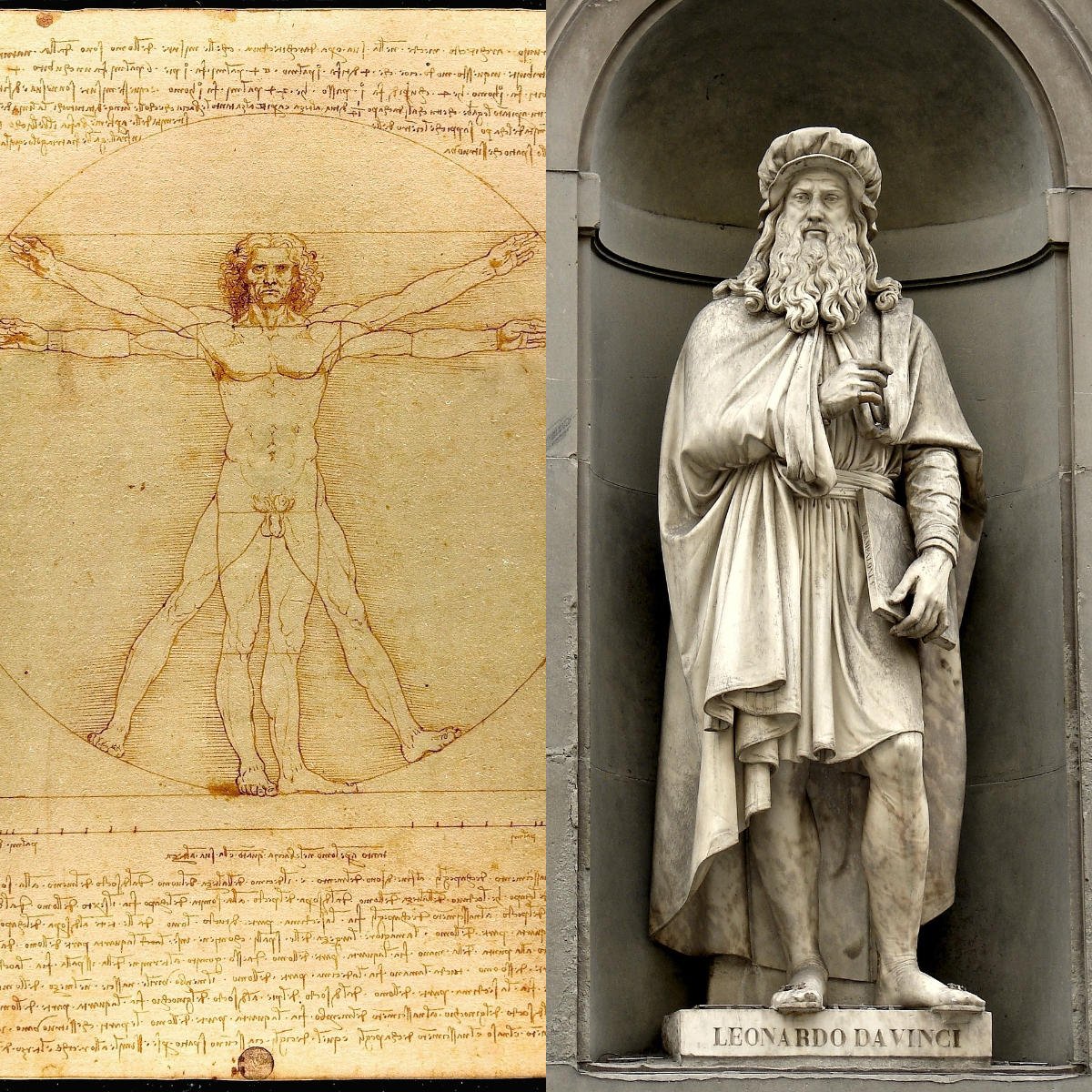 La genialidad de Da Vinci plasmada en “Hombre de Vitruvio” Bioguia La genialidad de Da Vinci plasmada en “Hombre de Vitruvio” Bioguia