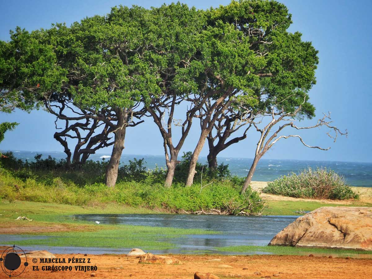 parque nacional yala