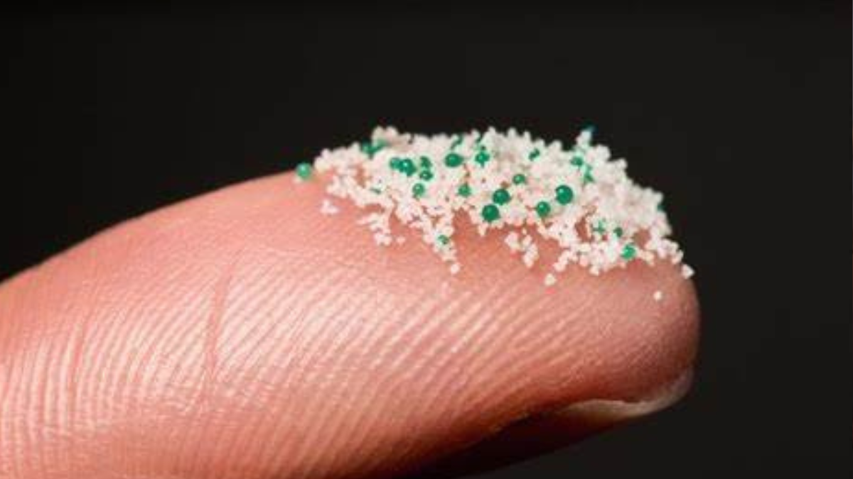 sal plastico Alerta: ¿Cómo se determinó que la sal tiene microplásticos?.