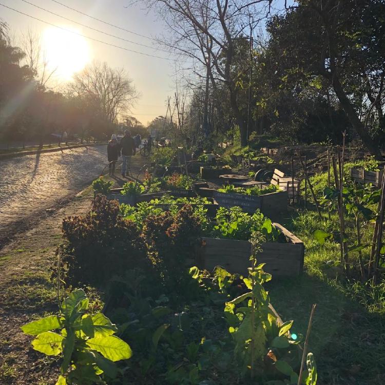 huerta atardecer