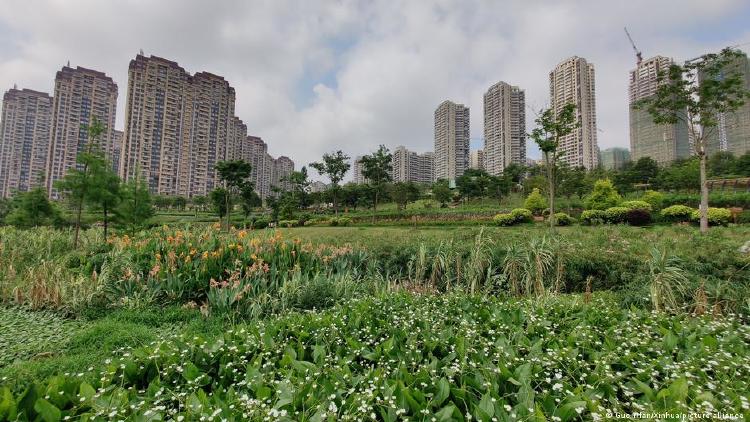 Humedales en ciudades Chinas Humedales en ciudades Chinas