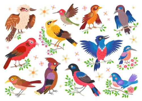 set of forest birds cartoon songbirds vector