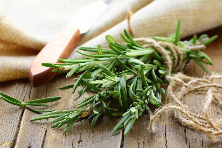 Better known in gastronomy, rosemary works as a natural anti-stress, since it has anxiolytic properties.