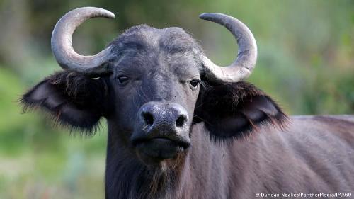 63428785_303 63428785_303