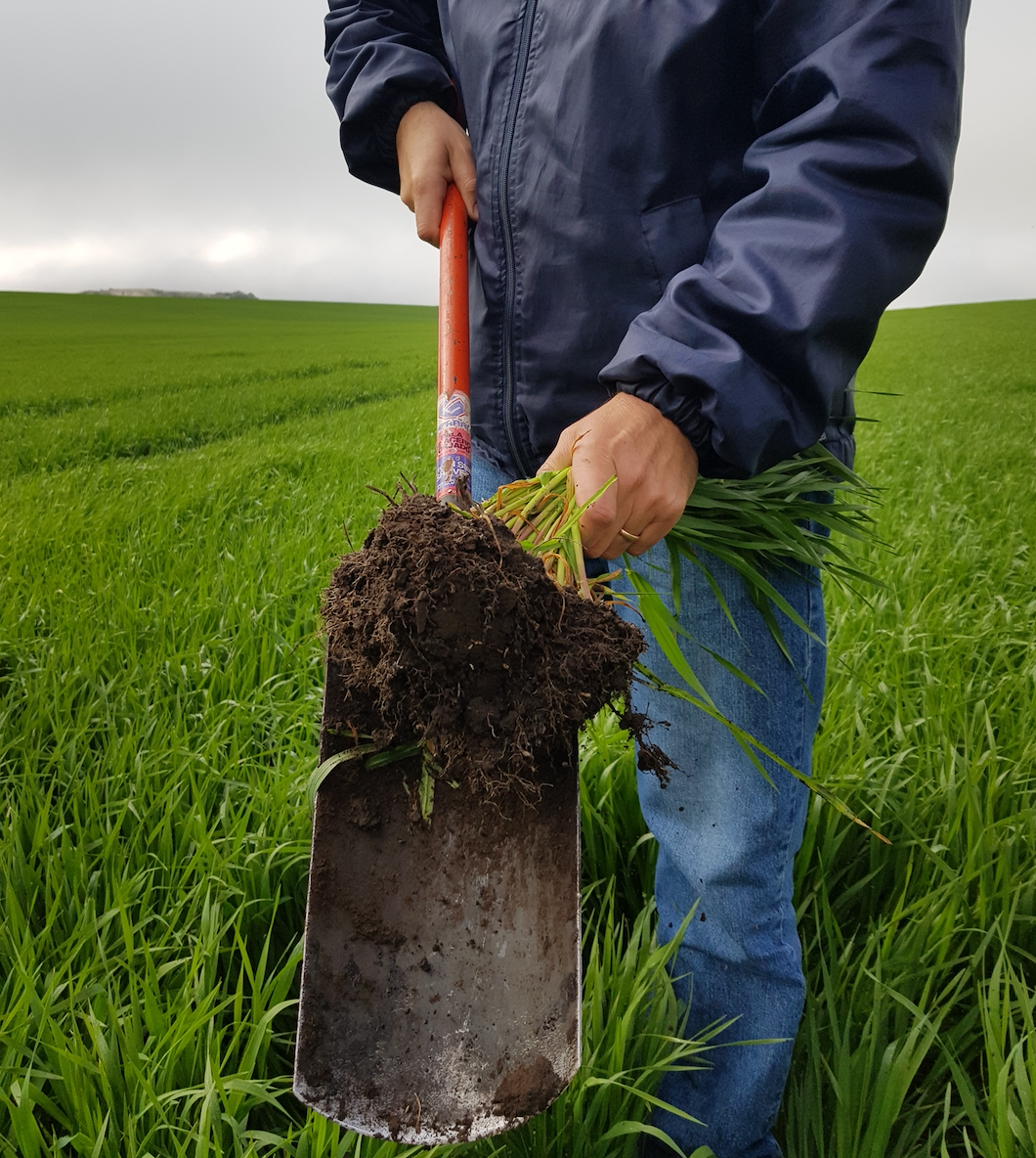 Proyecto en Balcarce Proyecto en Balcarce