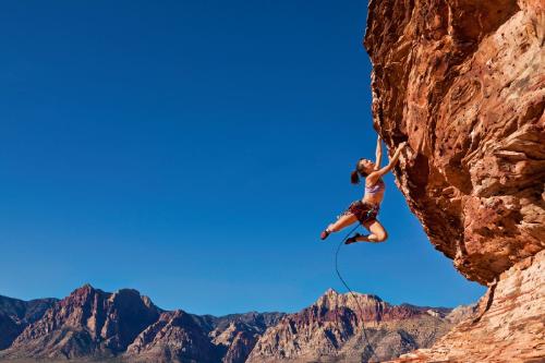 Depositphotos_5543772_XL (1) Depositphotos_5543772_XL (1)