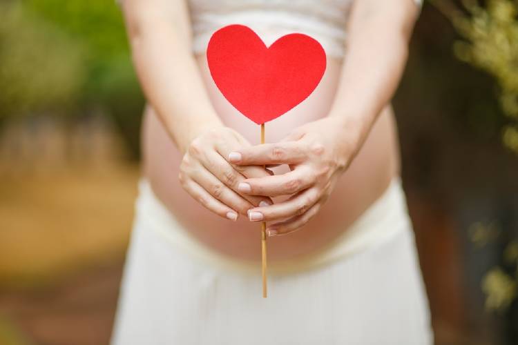 beneficios y usos de la placenta