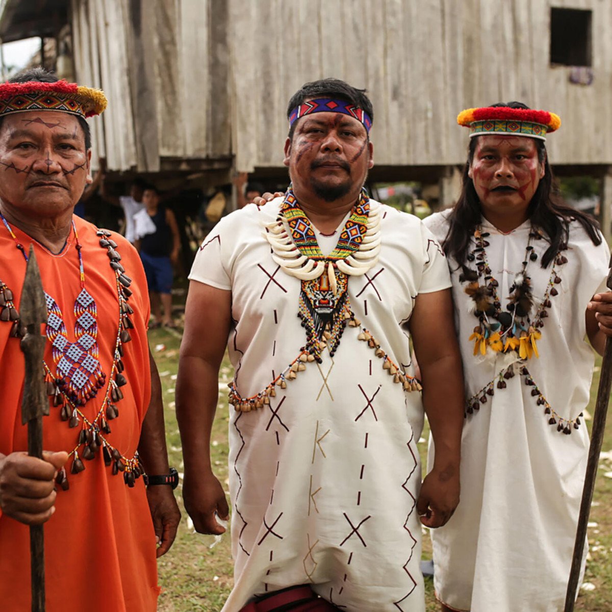 siekopai indigenas2