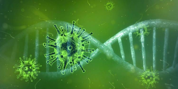 coronavirus-4833754_1280 (1) coronavirus-4833754_1280 (1)
