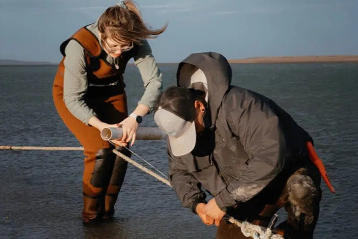 Imagen: noticiasambientales.com