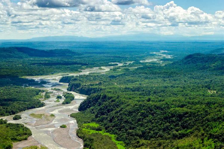 amazonas amazonas