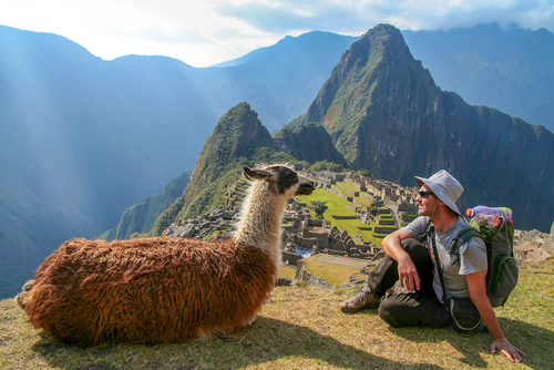 Un turista con una llama en el Machu Picchu