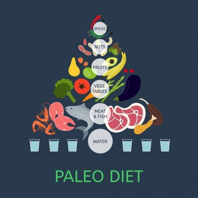 dieta paleo dieta paleo