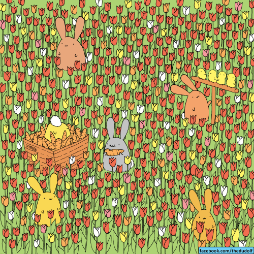 Reto visual Reto visual