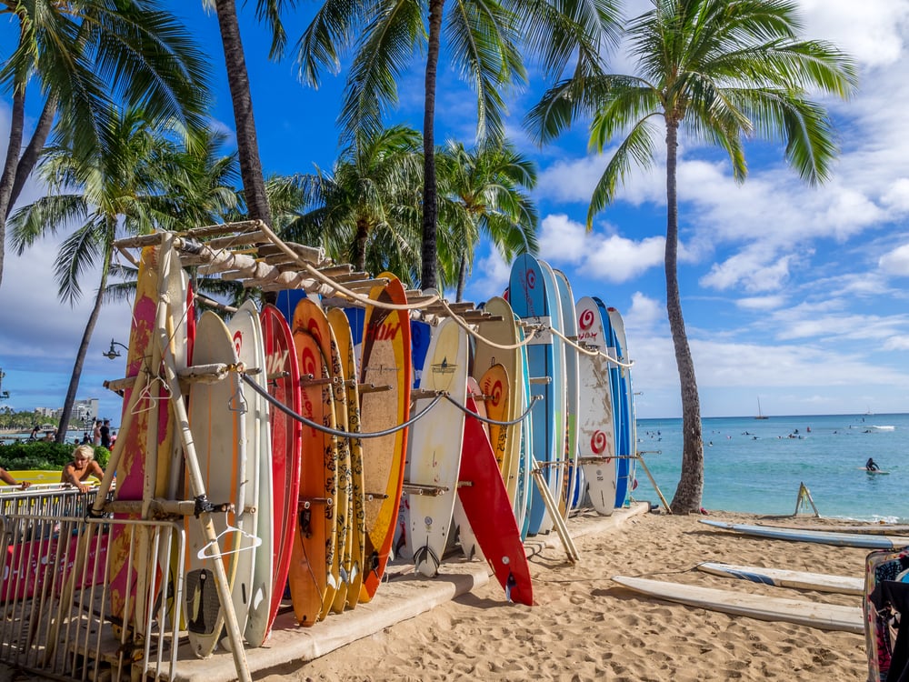 tablas de surf en una de las playas paradisiacas de hawaii