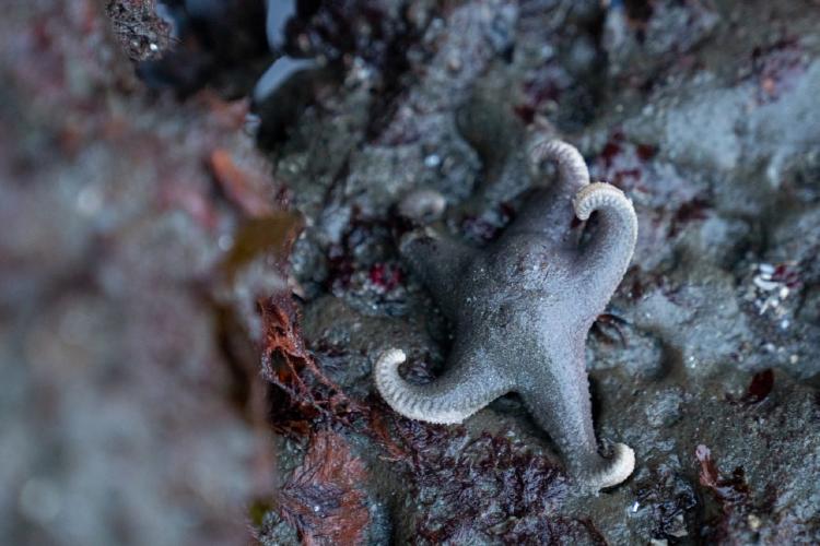 PN MONTE LEON foto de Joel Reyero 17 PN MONTE LEON foto de Joel Reyero 17