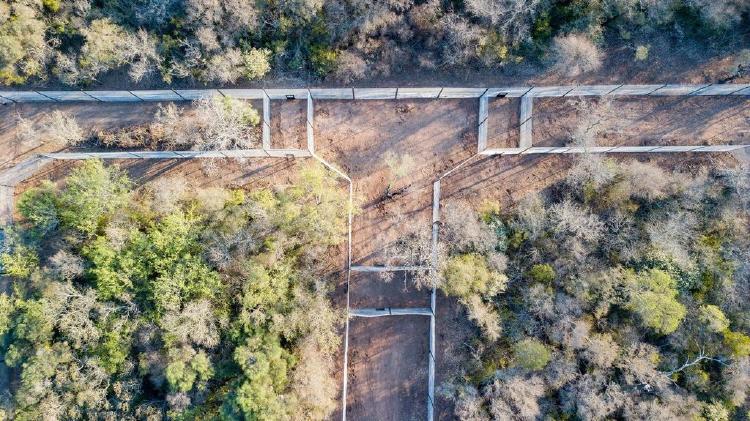 Se encuentran por primera vez Qaramta y Tania, la esperanza de los yaguaretés del Impenetrable chaco