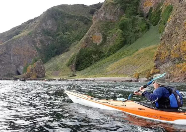 oveja fiona2 oveja fiona2