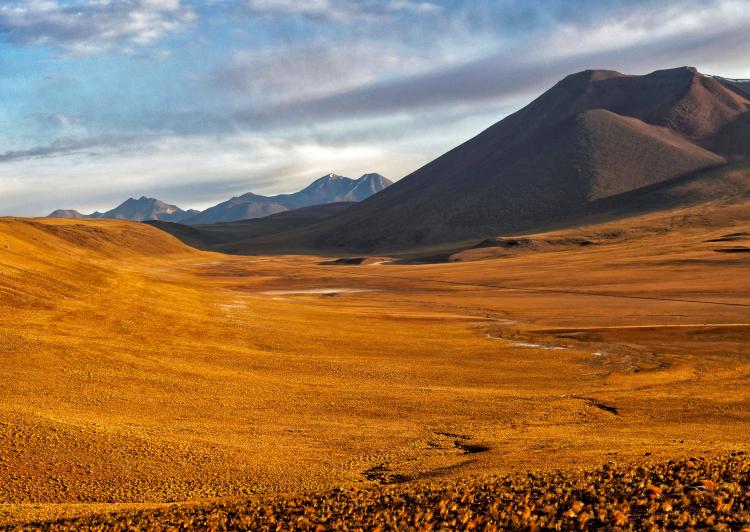 pexels andré ulysses de salis 7911256 pexels andré ulysses de salis 7911256