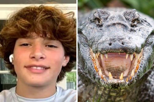 Collage portadas notas(16) Collage portadas notas(16)