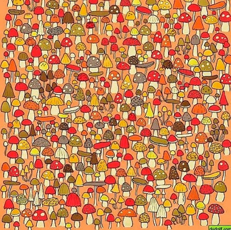 acertijo22 acertijo22