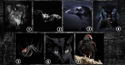 ¿Que animal te atrae más? El test mental que revela el lado oscuro oculto