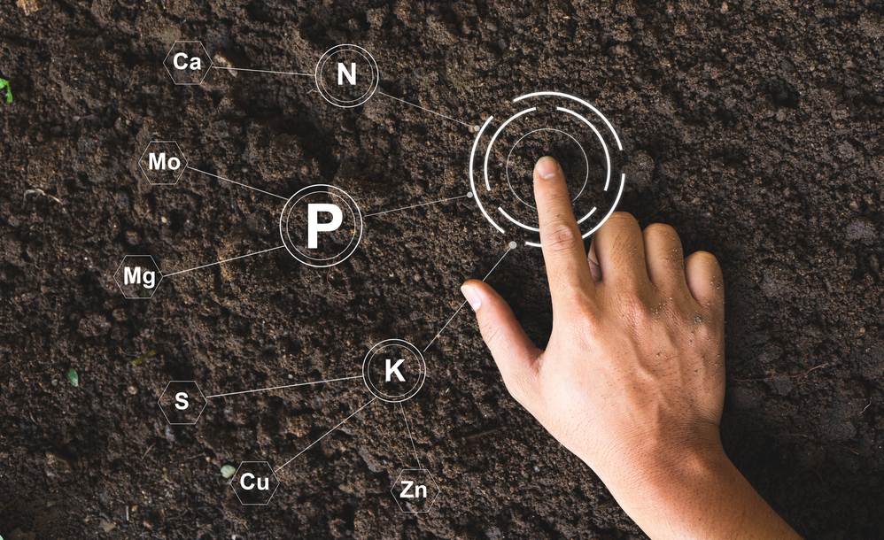 Foto comercial 3 Foto comercial 3