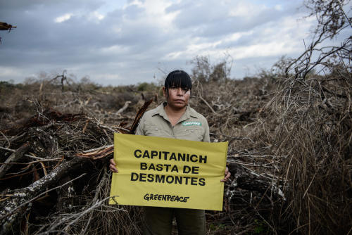 Desmonte Chaco (3) Desmonte Chaco (3)