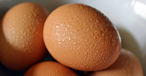 Trucos muy útiles para saber si un huevo es saludable o no