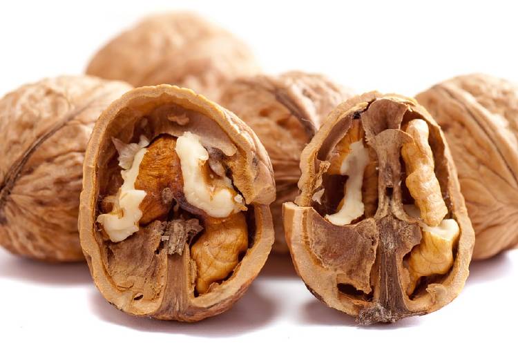 nueces nueces