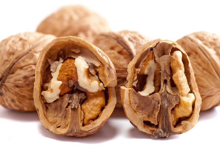 nueces