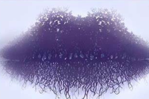 test ¿Qué ves primero? Tu respuesta revela una parte oculta de tu personalidad. (Imagen: depor.com)