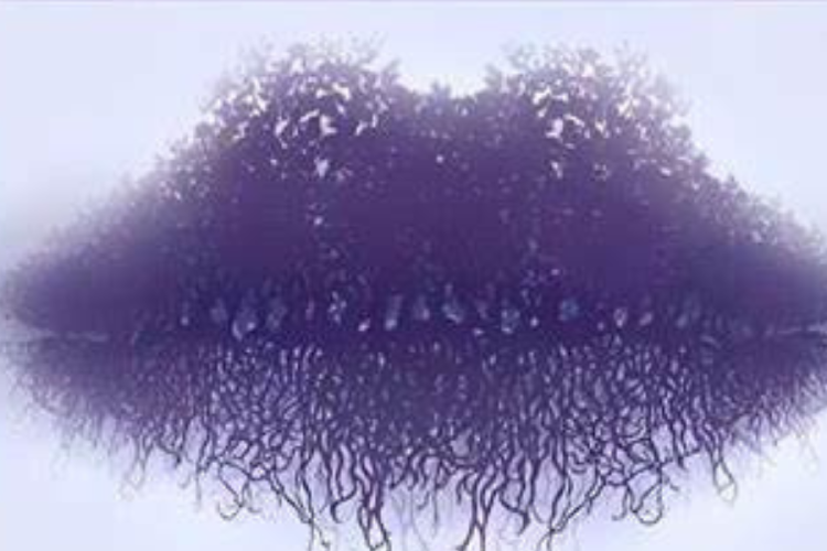 test ¿Qué ves primero? Tu respuesta revela una parte oculta de tu personalidad. (Imagen: depor.com)