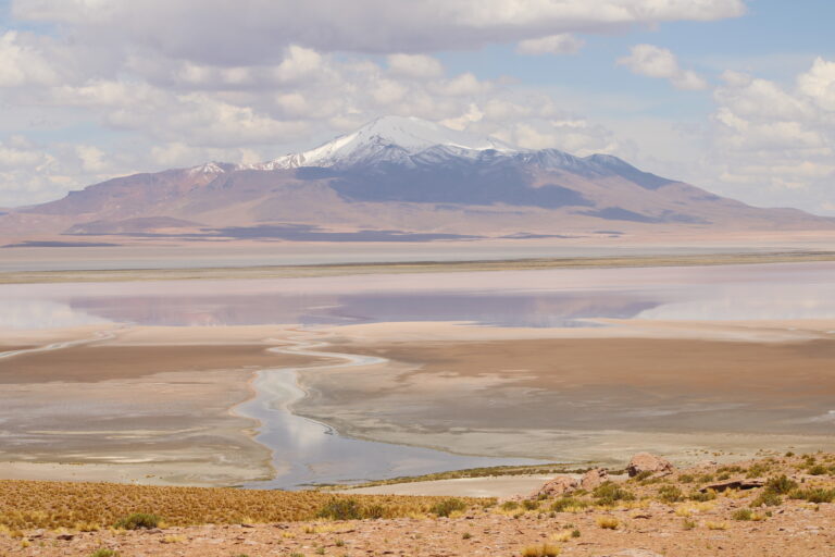 IMG_5916 768x512 IMG_5916 768x512