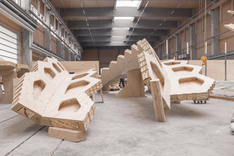 Estructura de Mass Timber en la fábrica para ensamblar el esqueleto