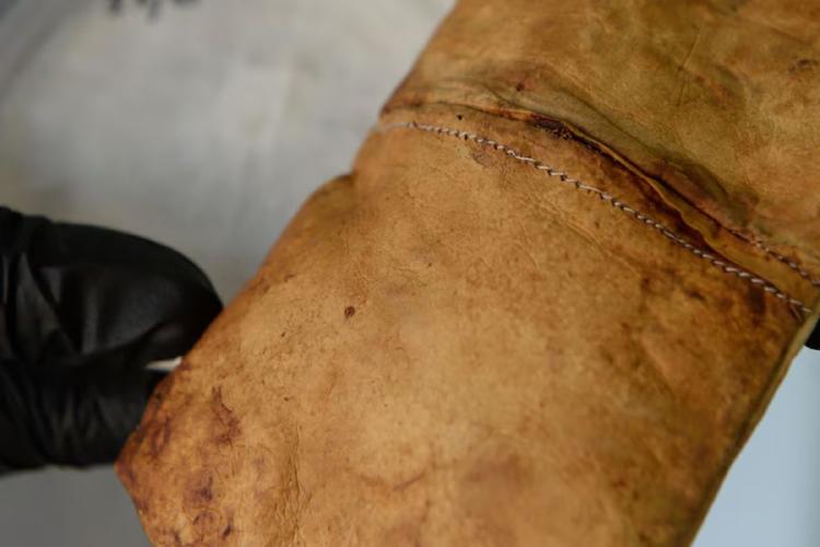 cuero El bajo consumo de agua y la reducción de emisiones distinguen a este biomaterial de opciones convencionales