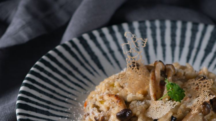 sustitutos vegetarianos de la carne sustitutos vegetarianos de la carne