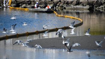 Derrame de petroleo en California