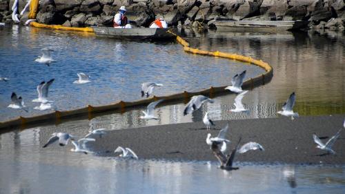 Derrame de petroleo en California Derrame de petroleo en California