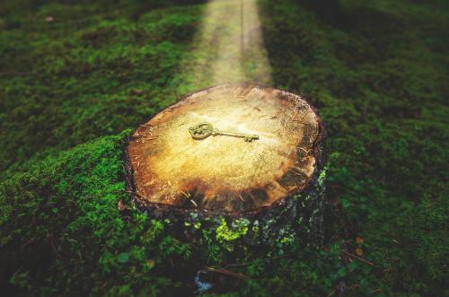 Descubre estas 5 maneras de conocerte a ti mismo en profundidad