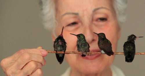 Catia Lattouf de Arída Catia Lattouf de Arída