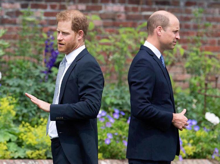 harry william harry william