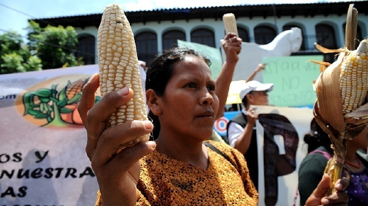 autogestión, agricultura agroecológica